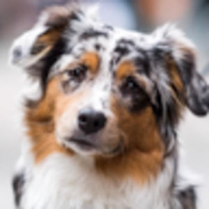 Meet your Posher, Chloe